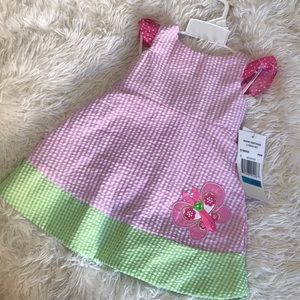 NWT Baby Girl Butterfly Seersucker dress(24m)